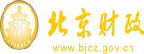 成年人网站啊啊啊北京市财政局