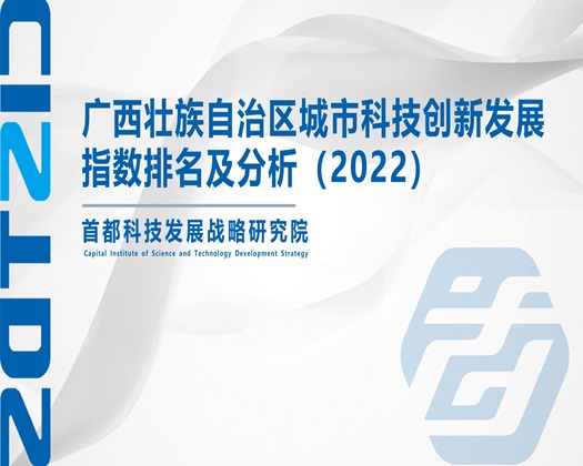 欧美女大鸡巴【成果发布】广西壮族自治区城市科技创新发展指数排名及分析（2022）